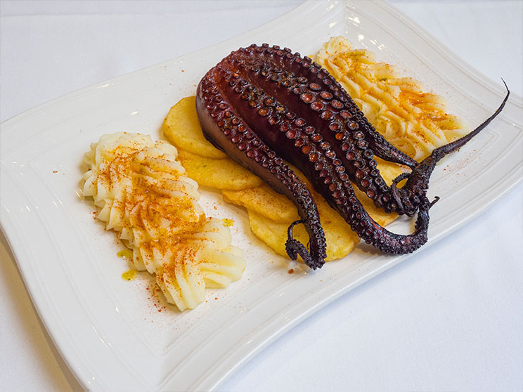 Pulpo La Consistorial